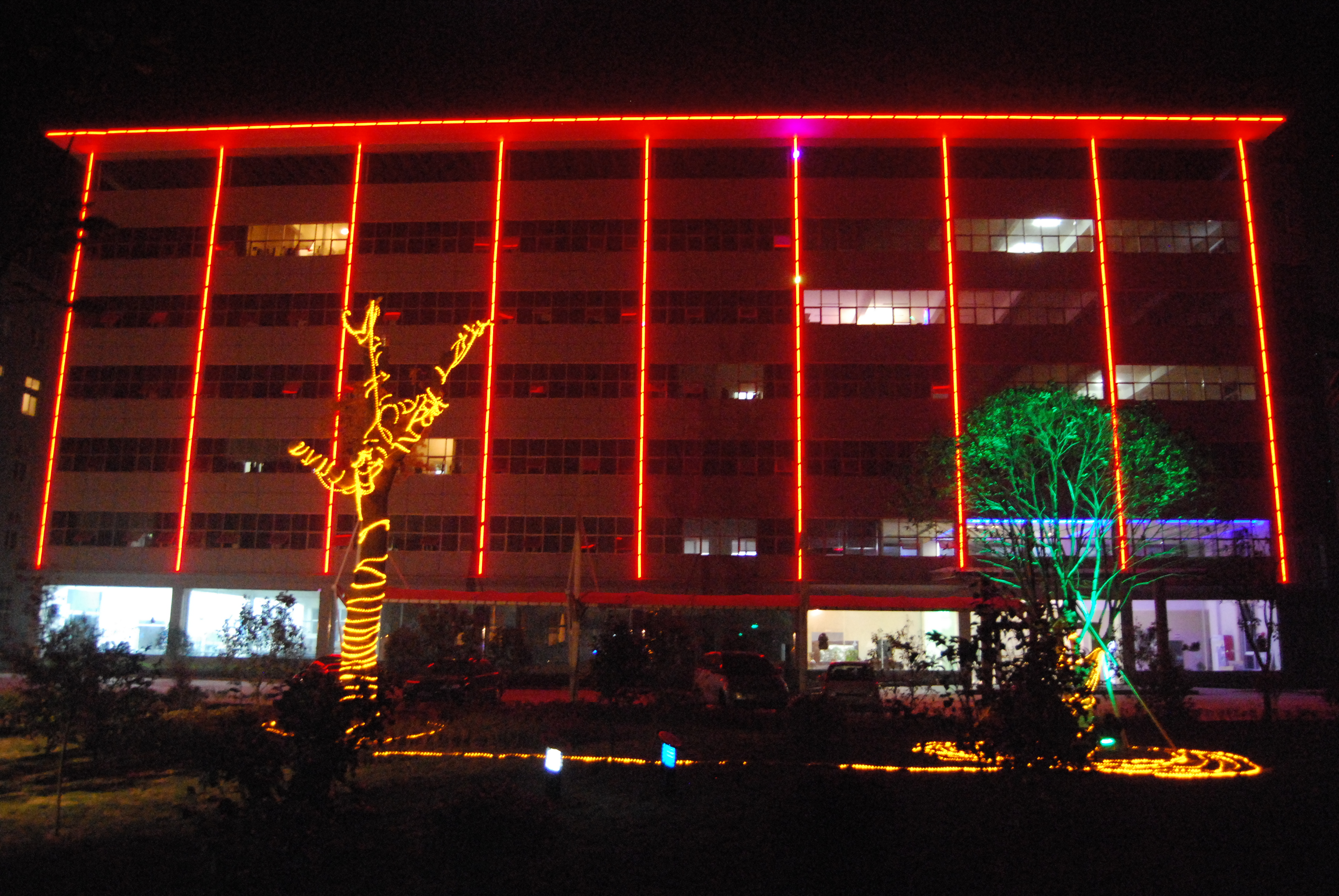 SMD5050 LED Strip Light 12V/24V